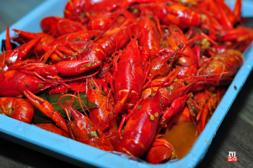 ����ʮ����С��Ϻ������