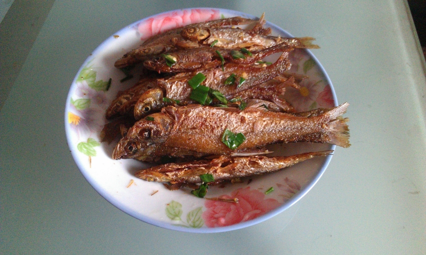 ��������С����������