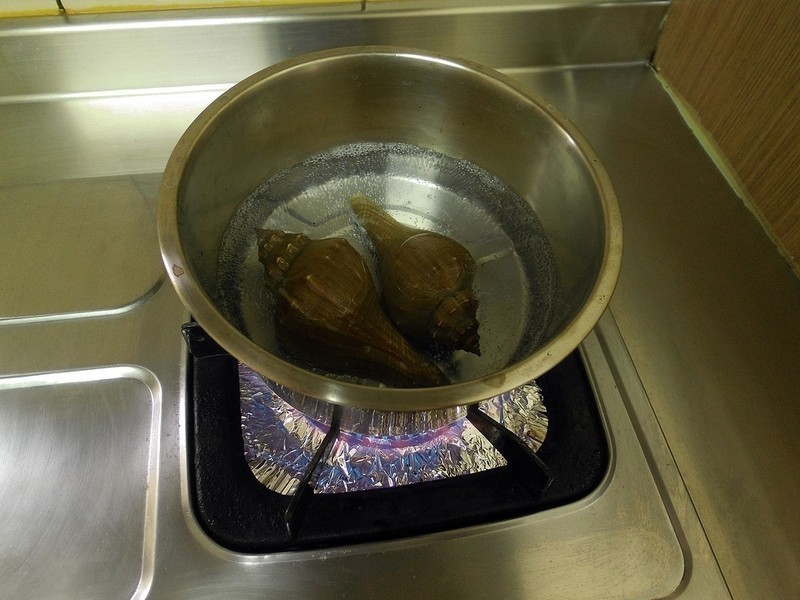 ������Ϻɳ��������