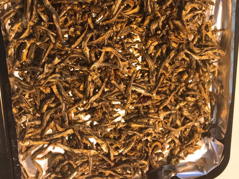 Ҭ��С��ɵ�����