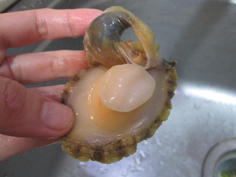 �����鱴�ࡺ��������ˡ�������