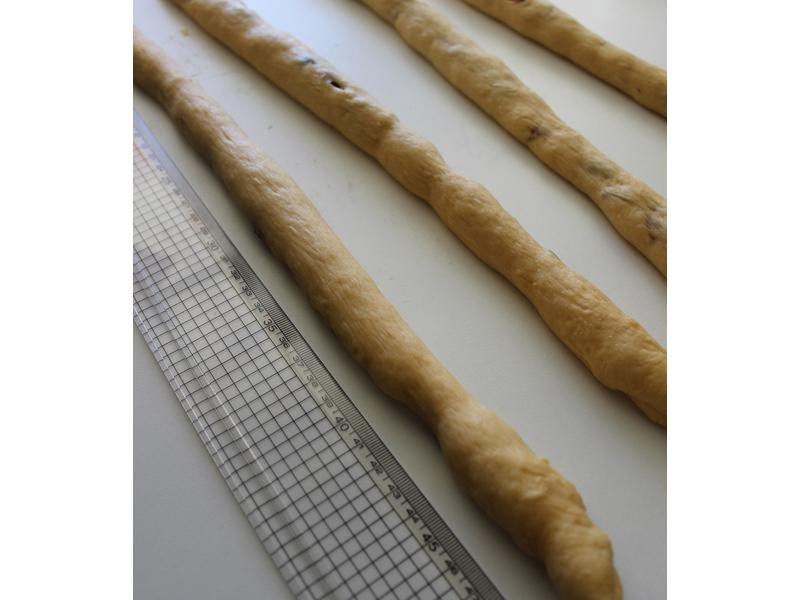 ʥ���������������