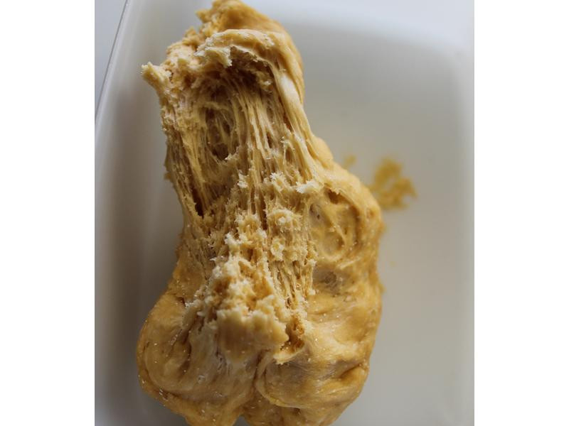 ʥ���������������