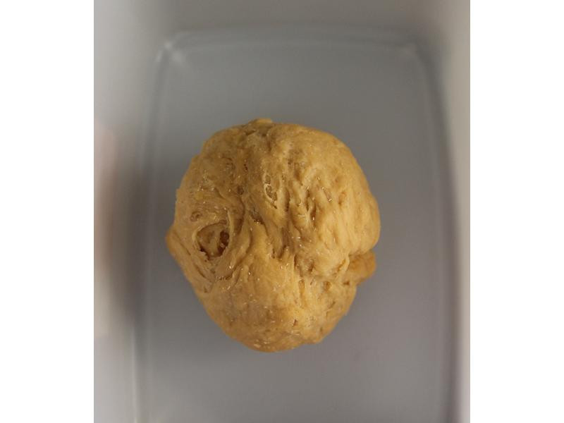 ʥ���������������