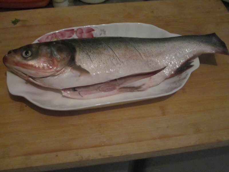 ���㻨�������������