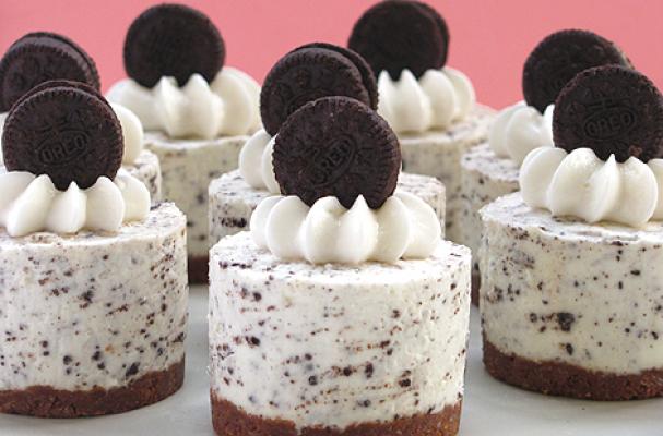 �䶳����ŷ֥ʿ���������