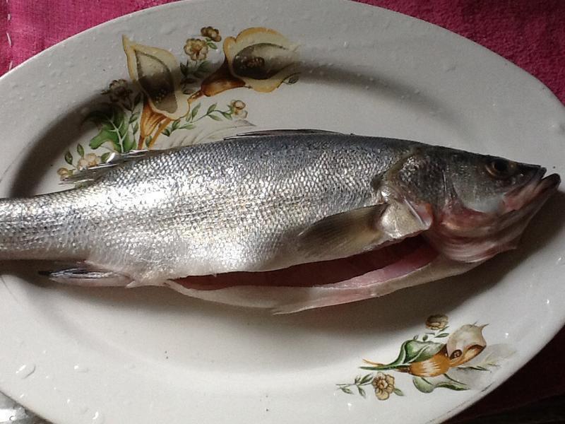 �������������������