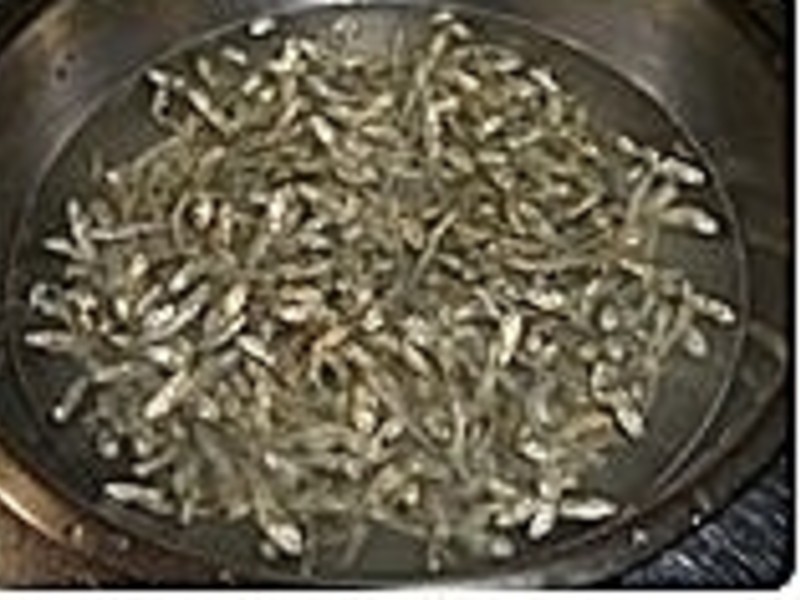 ��֭�߸���ɵ�����