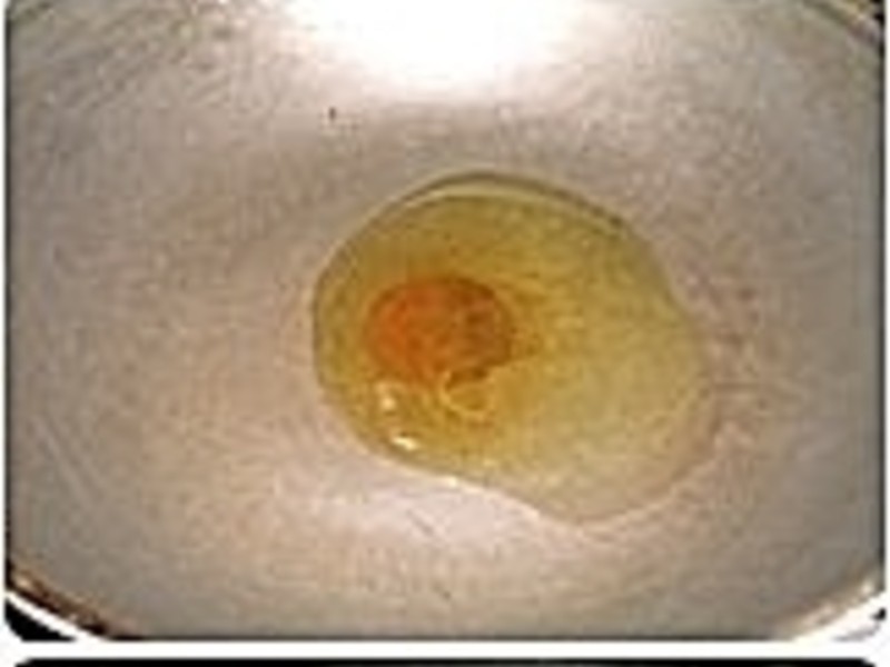 ��֭�߸���ɵ�����