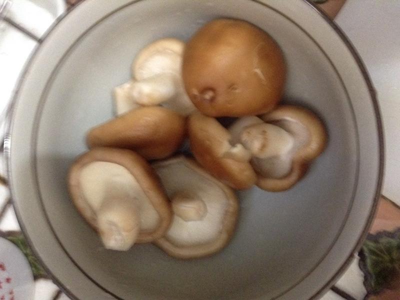 ����Ϻ�ʹ����ɵ�����