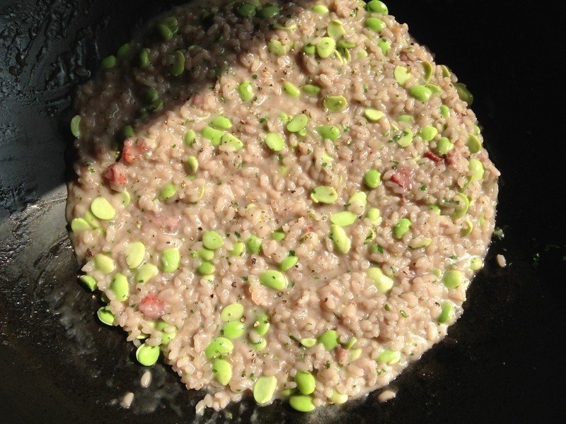 ��ݮë������������