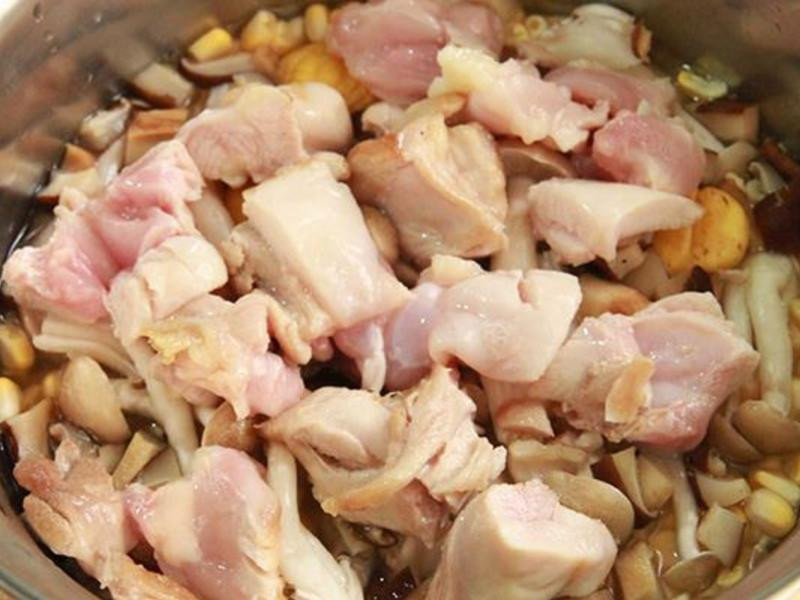 ��ʽ���ⴶ��������