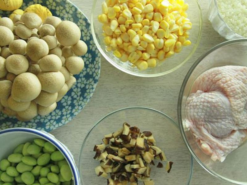 ��ʽ���ⴶ��������