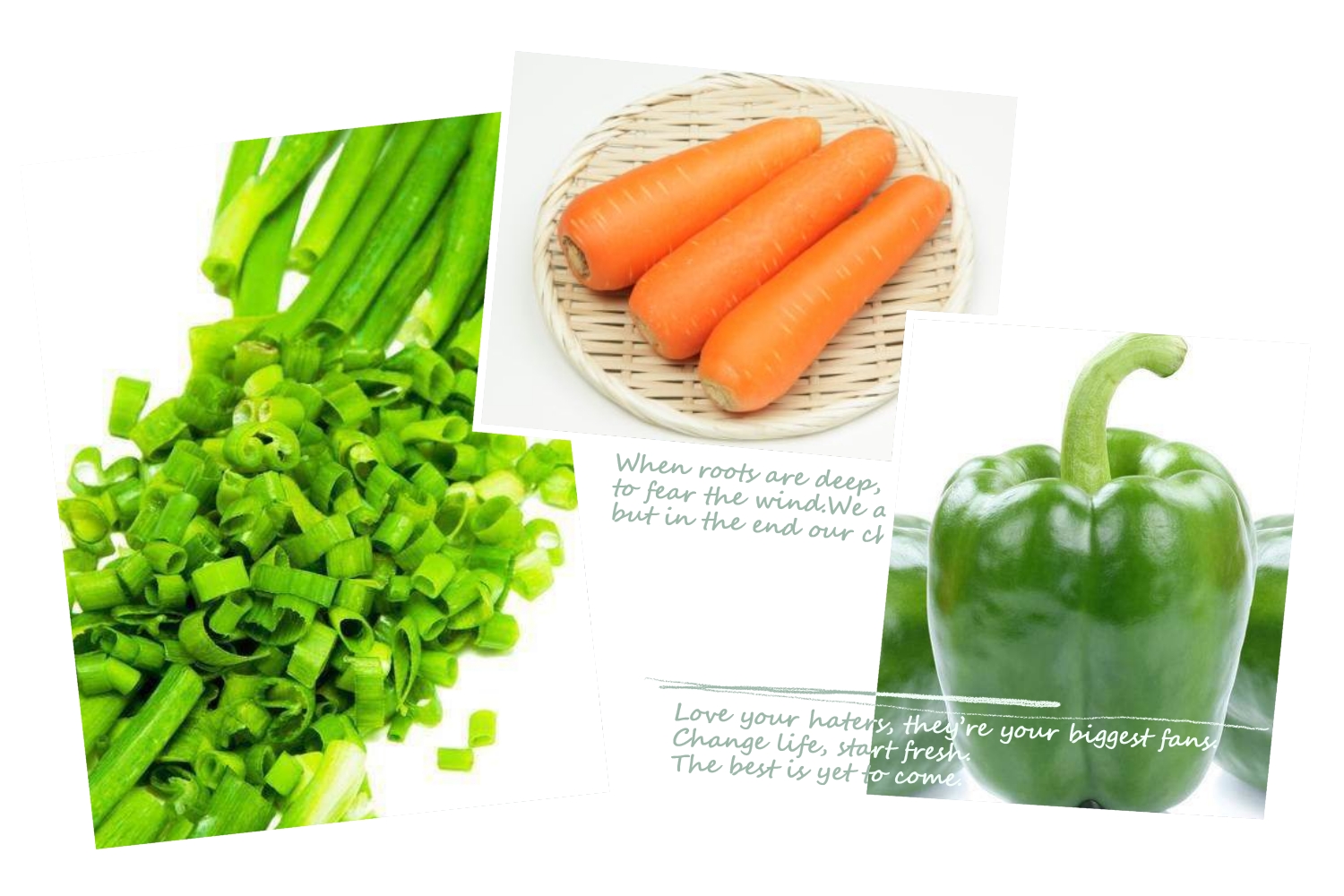 ��������һ�����µ�����Ϻ�����������