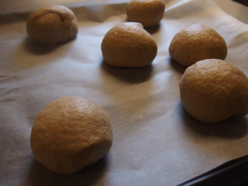 ȫ��л����������