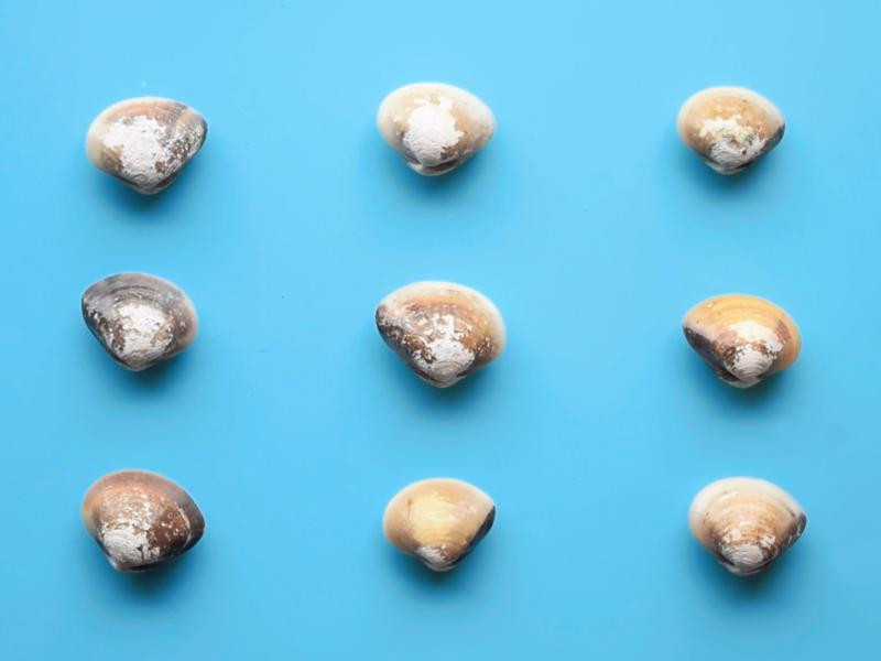 �����������������������