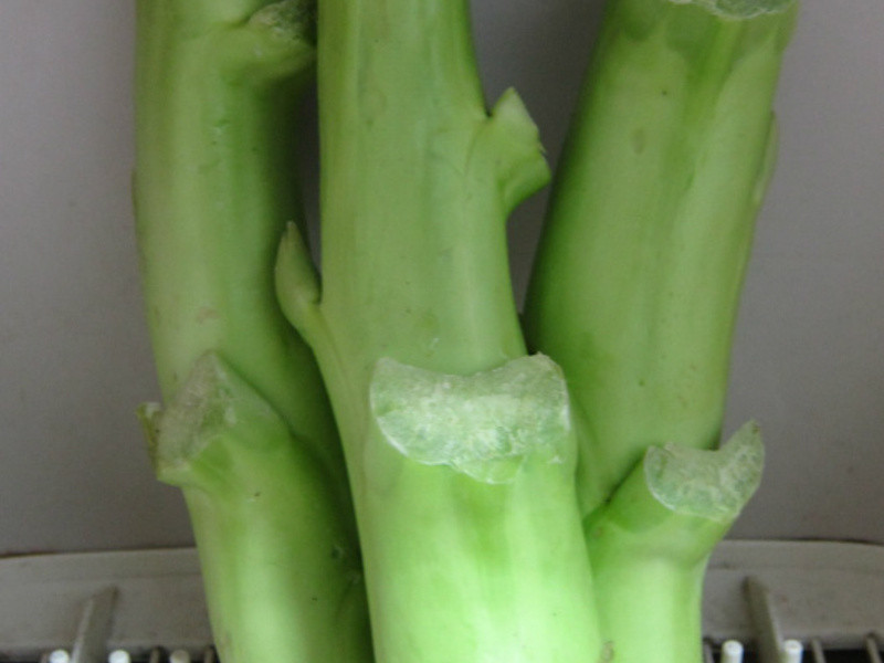 �����ײ��ĵ�����