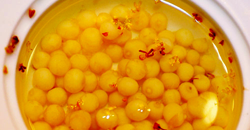 �����Ӹ�������