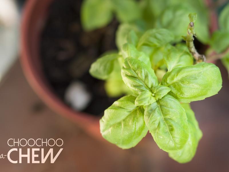 {����}��ʽ������˾ɳ��Caprese������