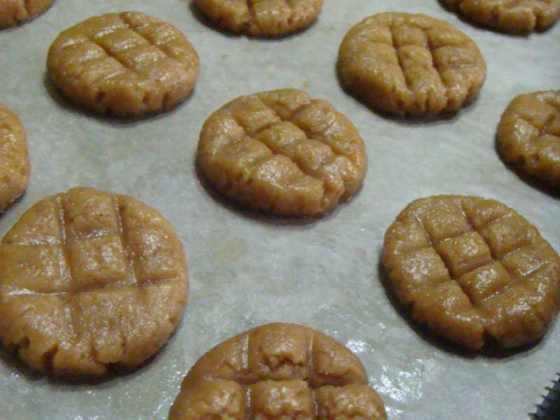 ��Cooking?���ȱ��ɵ�����