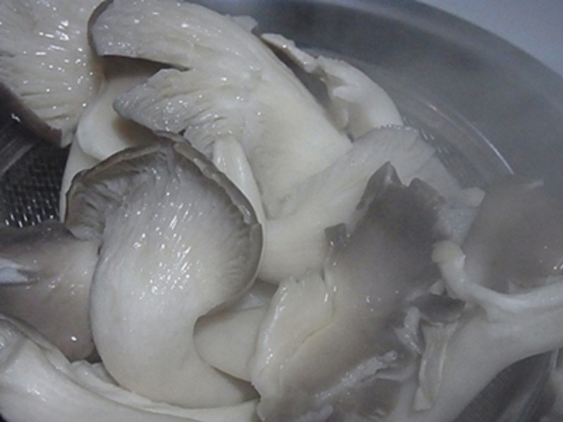 ��һ������~���Ƽ�~�ؾ�����˿������