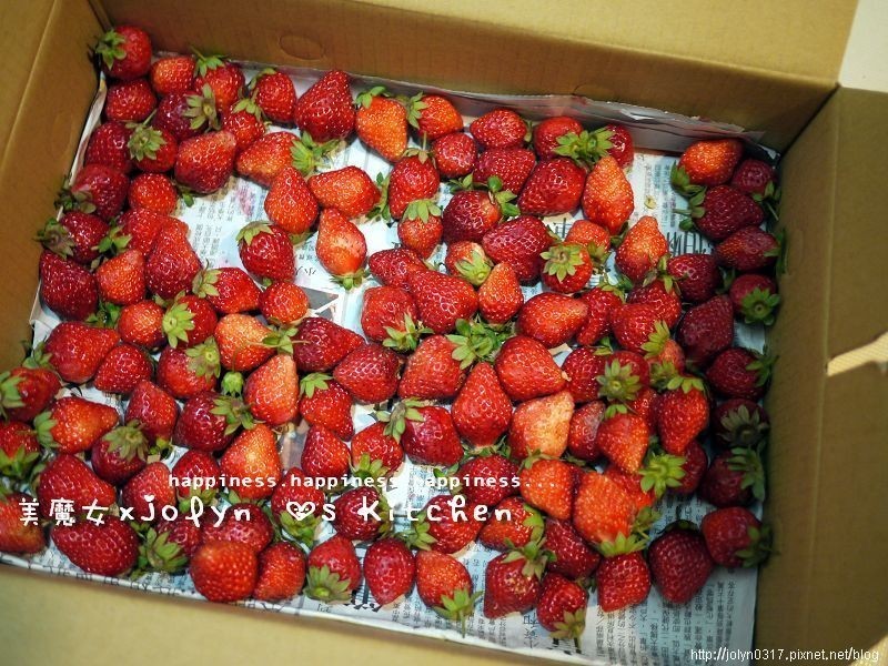 ?��ħŮJolyn���Ҹ��β�ݮ������sweet~������