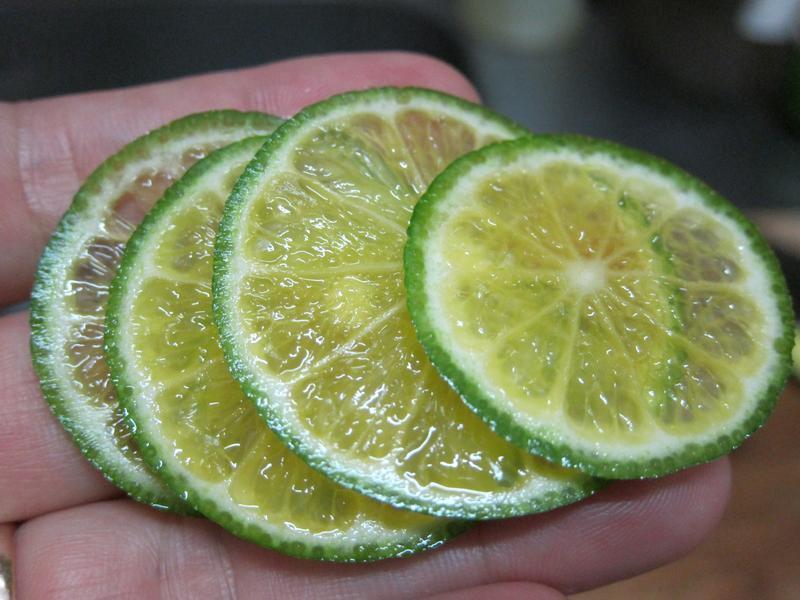 ���ս�� &��������������