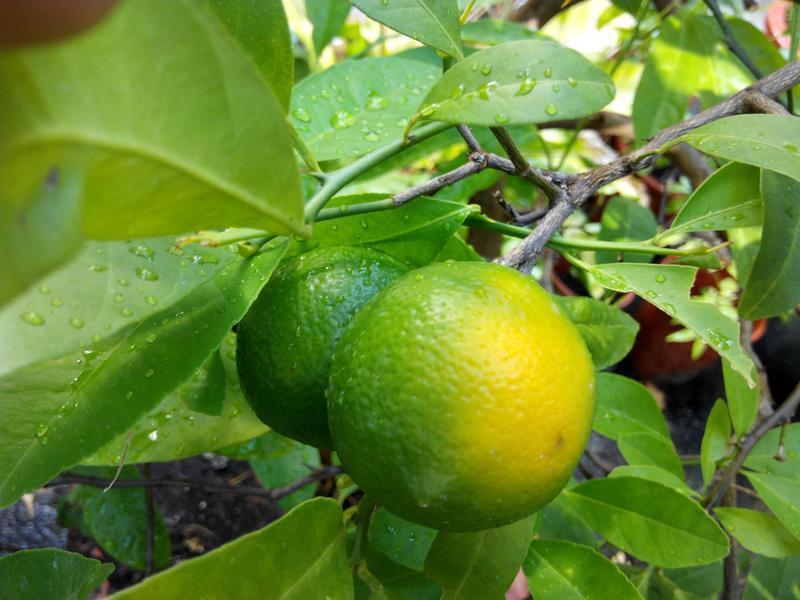 ���ս�� &��������������