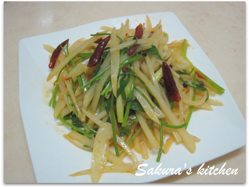 �������������˿������