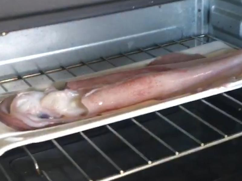 ����͸�������