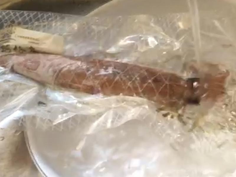 ����͸�������