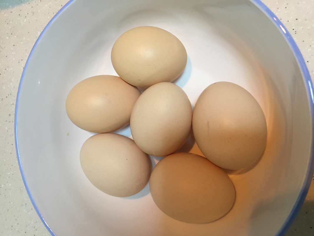 ��θ���ʲ�Ҷ��������