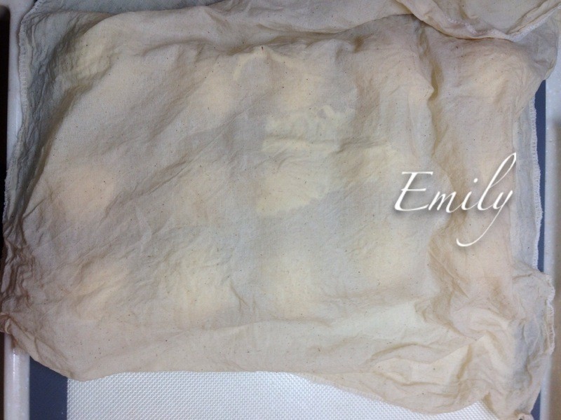 XO�ɱ����������������