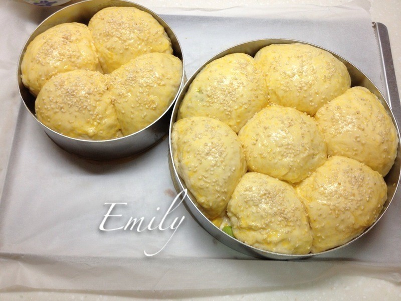 XO�ɱ����������������