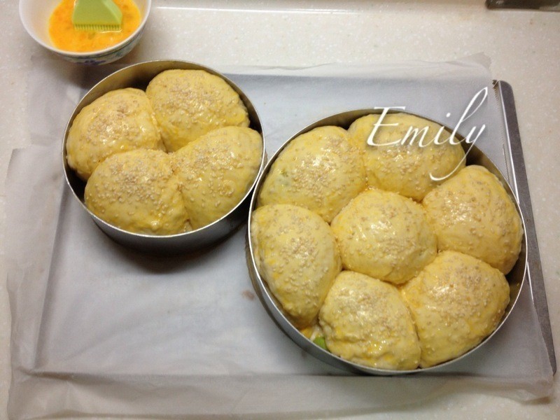 XO�ɱ����������������