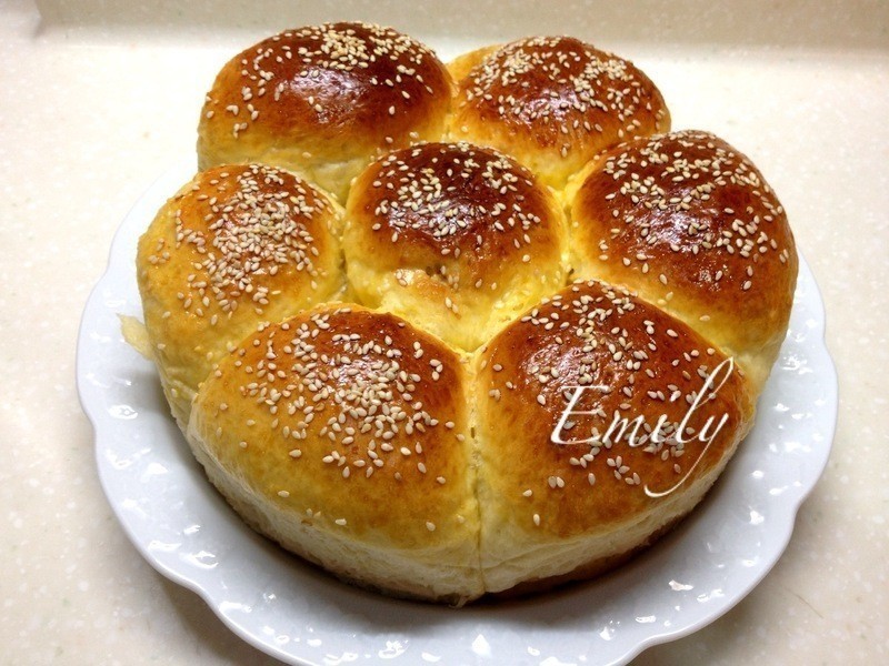 XO�ɱ����������������