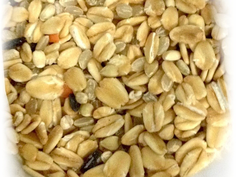 ���ϰ������չ���������������������