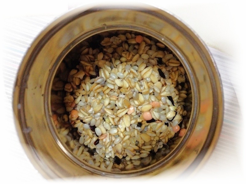 ���ϰ������չ���������������������