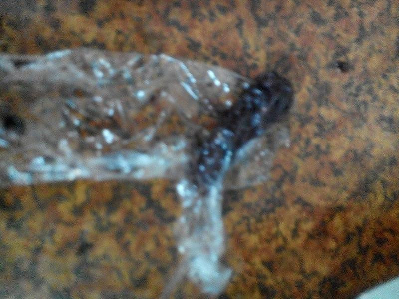 ���ܱ������մ����(��Ȼ�դα���ſ)������