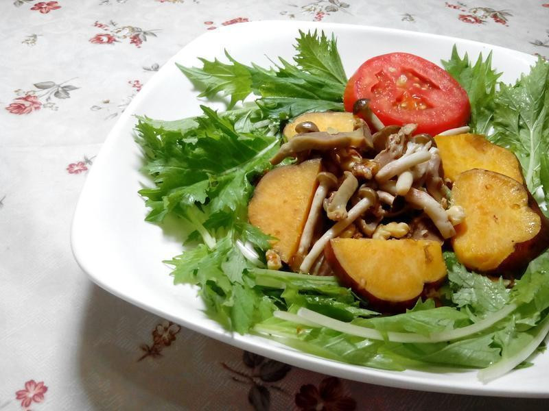 ֥�����ɳ��������