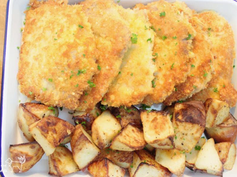 ��������ɭcheese���ŵ�����