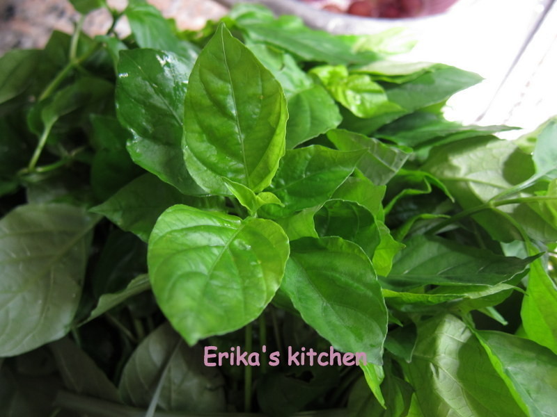 ��ʽ��轲˵�����