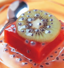 �����ެ�Ѷ���������