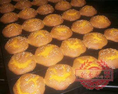 �����Ϲϸ������������