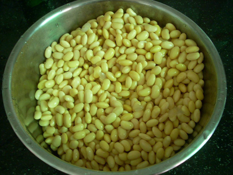 ľ�޶���DIY������