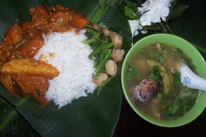 �㽶Ҷ������������