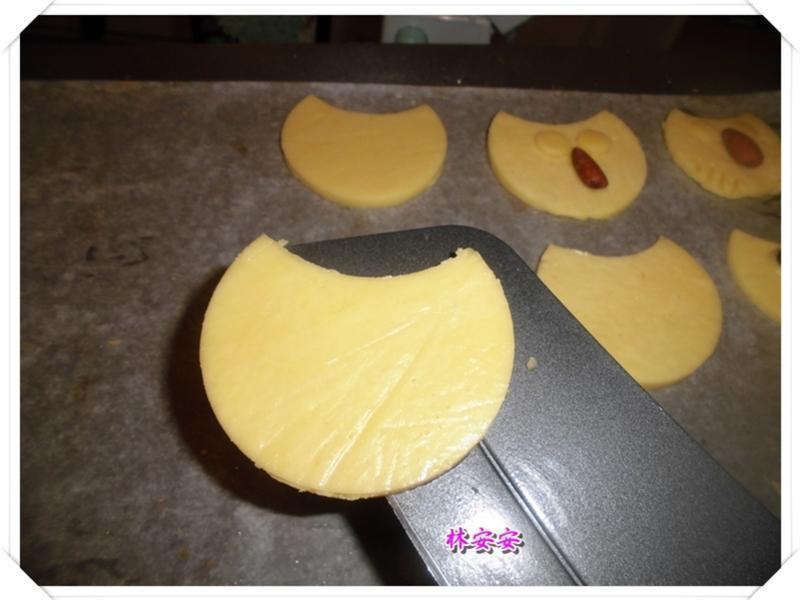 Q��èͷӥ���-�������ʹ�����ˮ�������͵�����