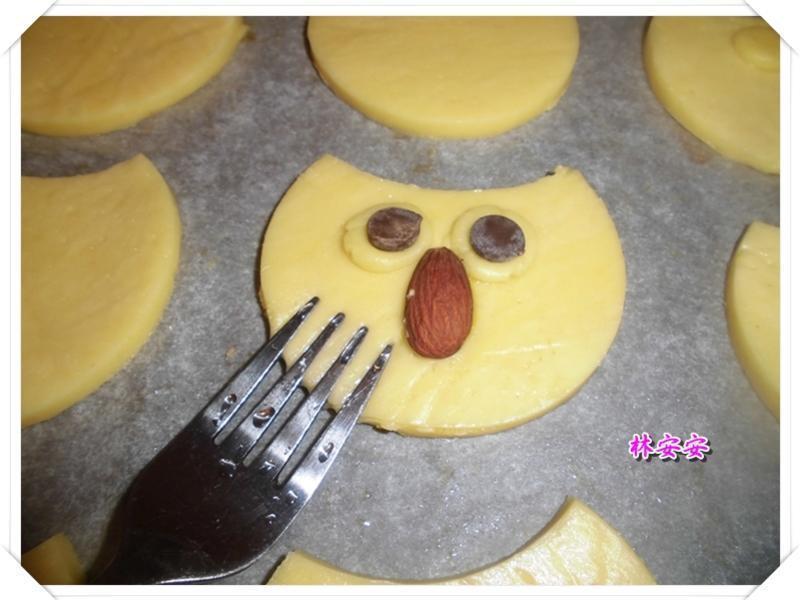 Q��èͷӥ���-�������ʹ�����ˮ�������͵�����