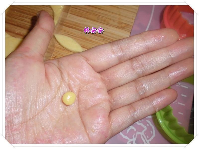 Q��èͷӥ���-�������ʹ�����ˮ�������͵�����