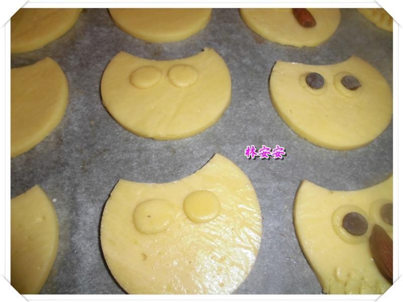 Q��èͷӥ���-�������ʹ�����ˮ�������͵�����